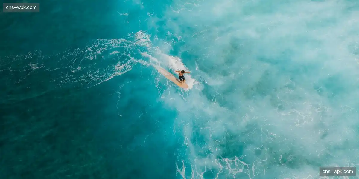 🏟️ 球迷呼声轰动全场,热浪从屏幕喷涌而出!🔥